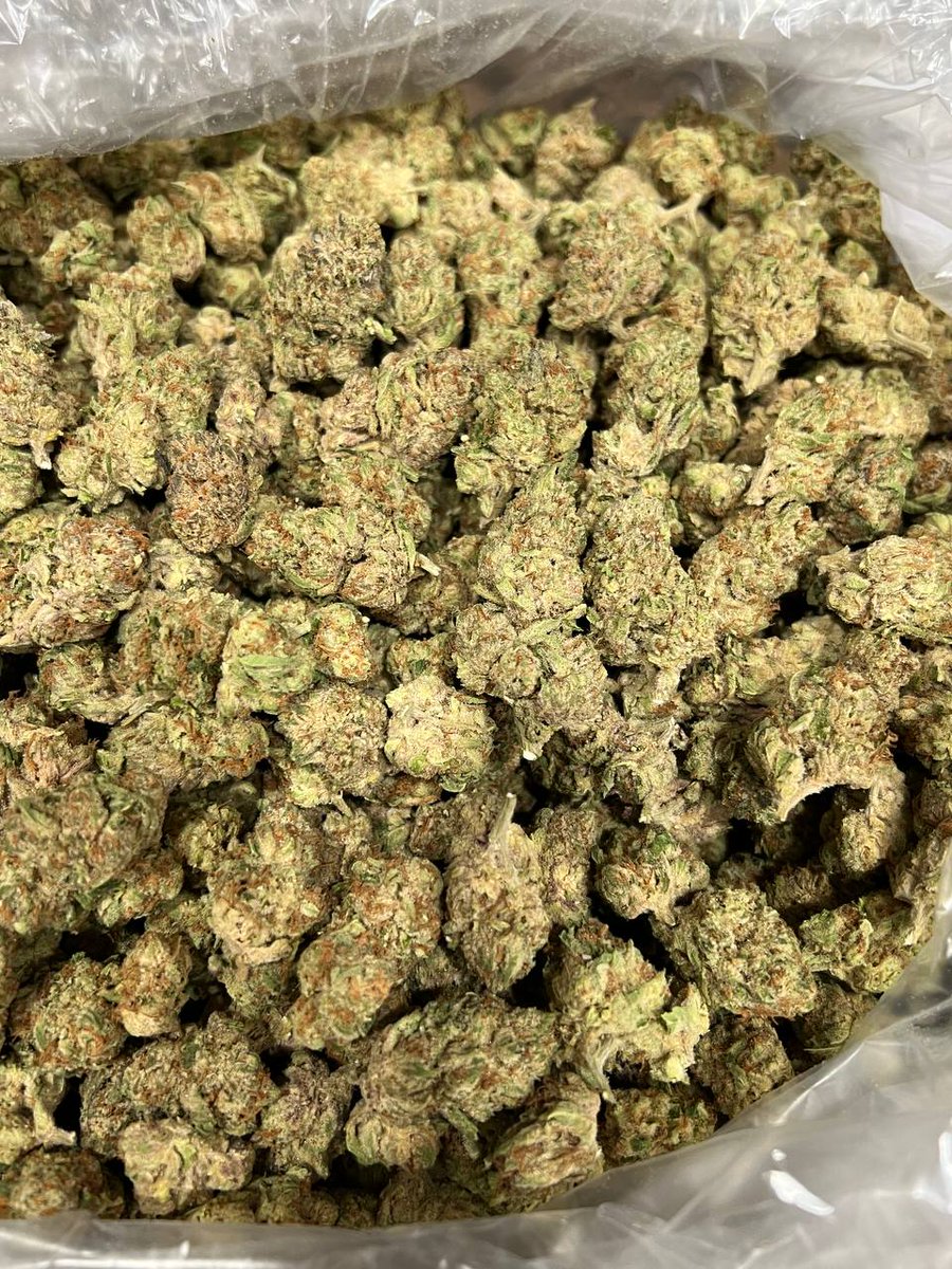 🍃👻 tweet media