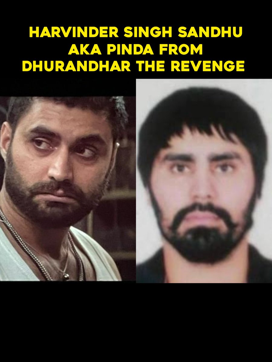 Skyups Media tweet media