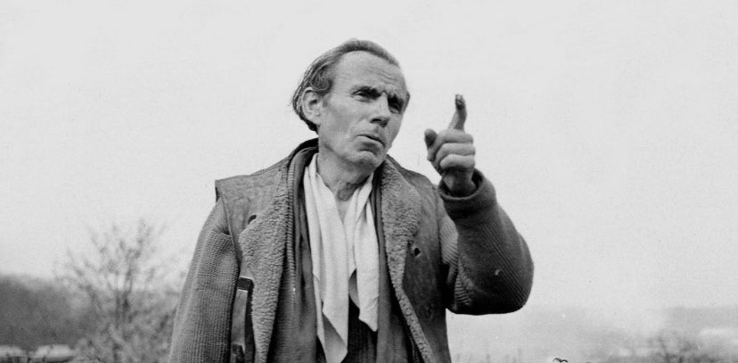 آدورنو tweet media