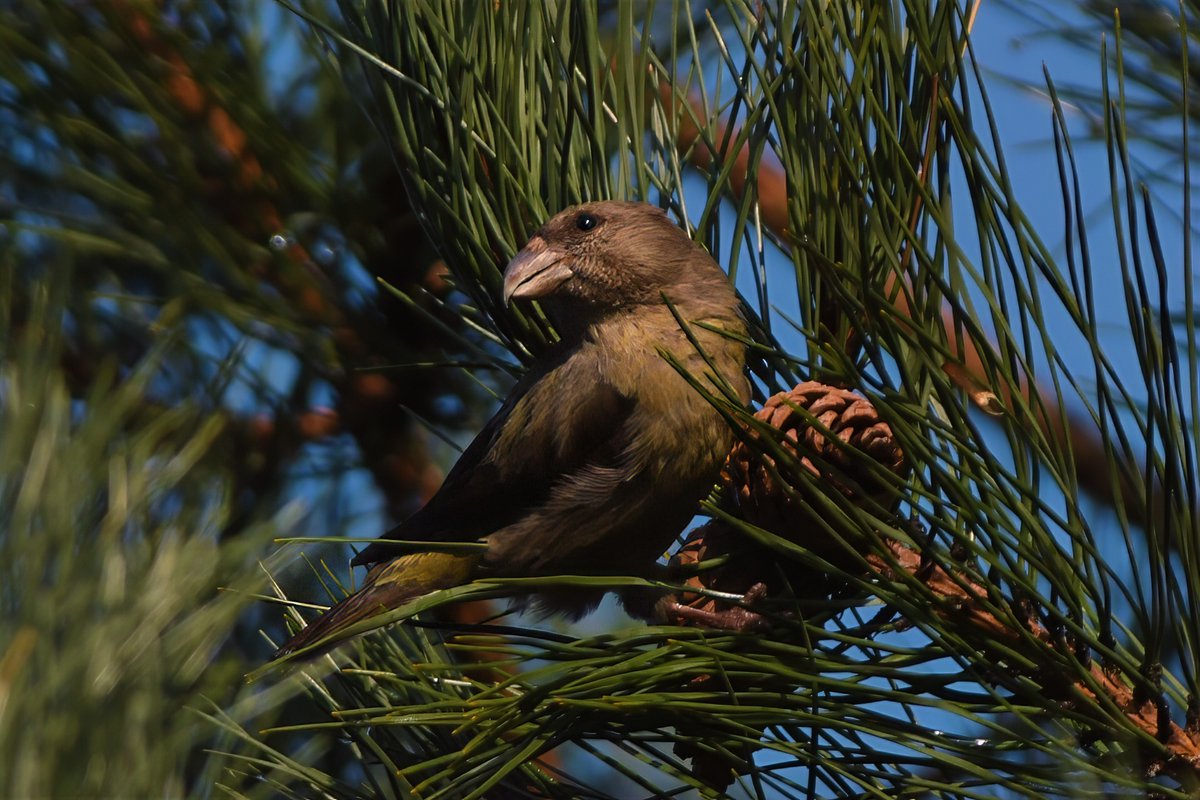 Phil Burnside tweet media