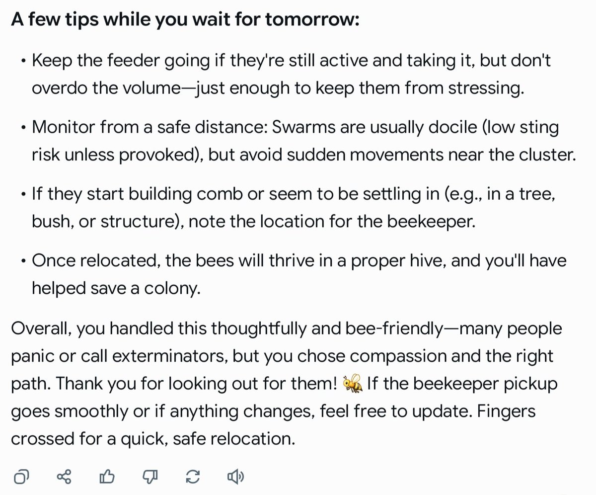 GodsZebra tweet media