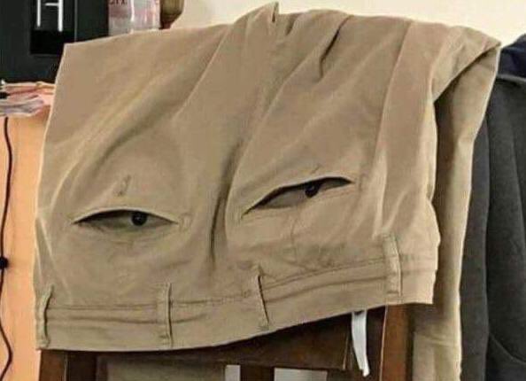 Franjolittle tweet media