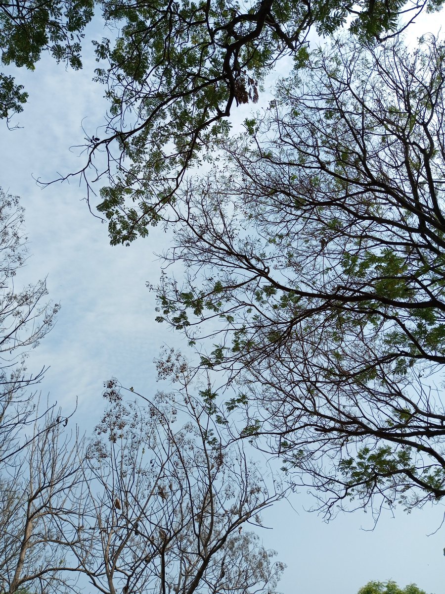 WinterGeek tweet media