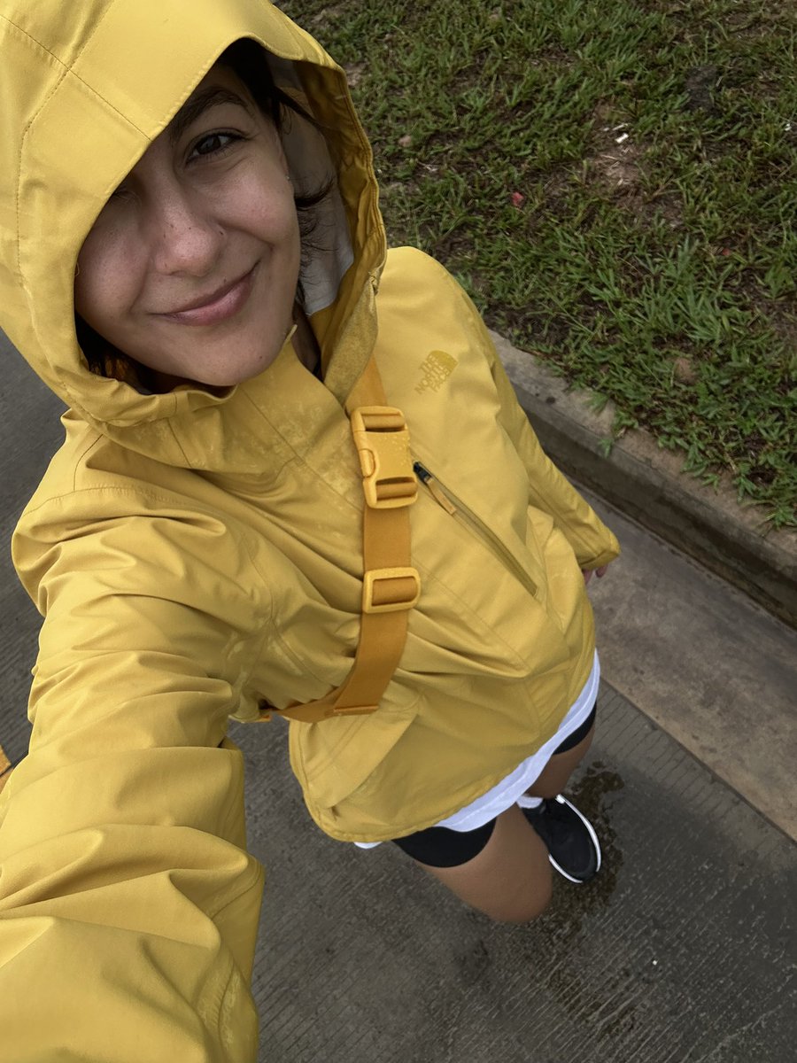 sashimi 🍣 tweet media