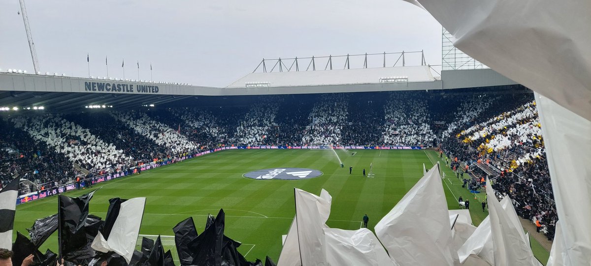 David dack tweet media