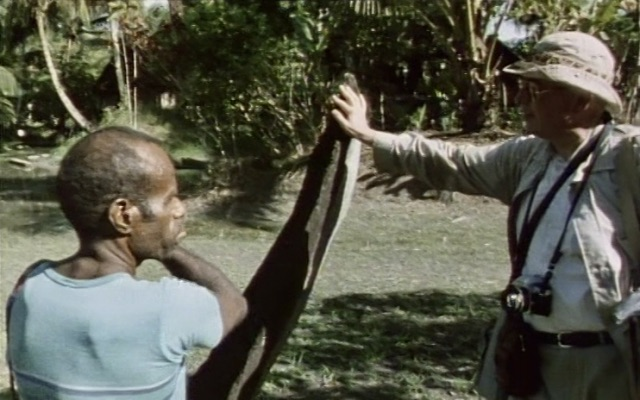 豚肉丸 tweet media