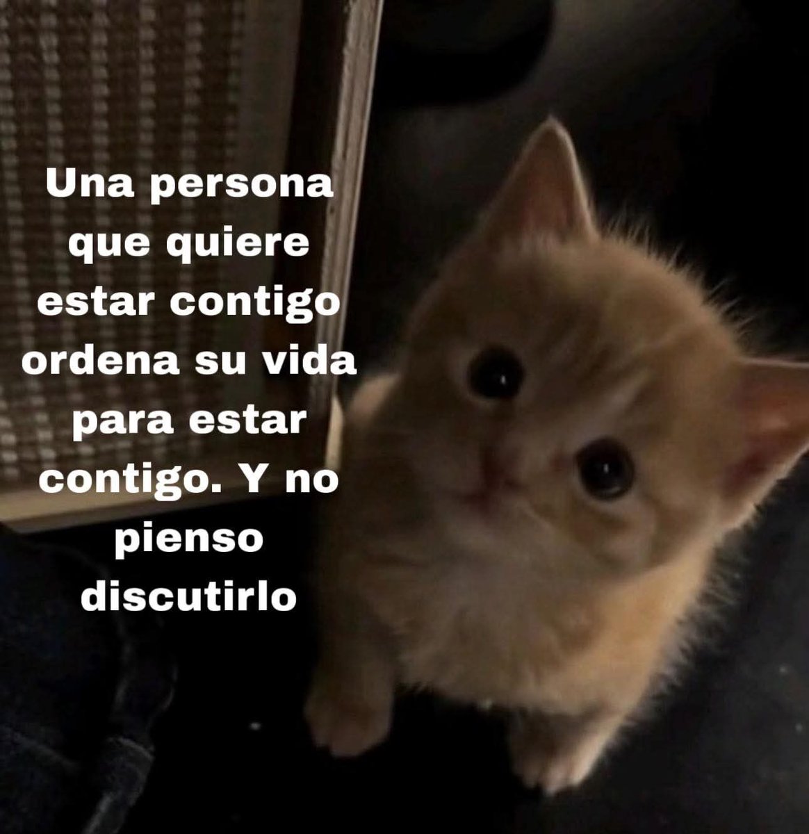 Cap Briagowsky tweet media