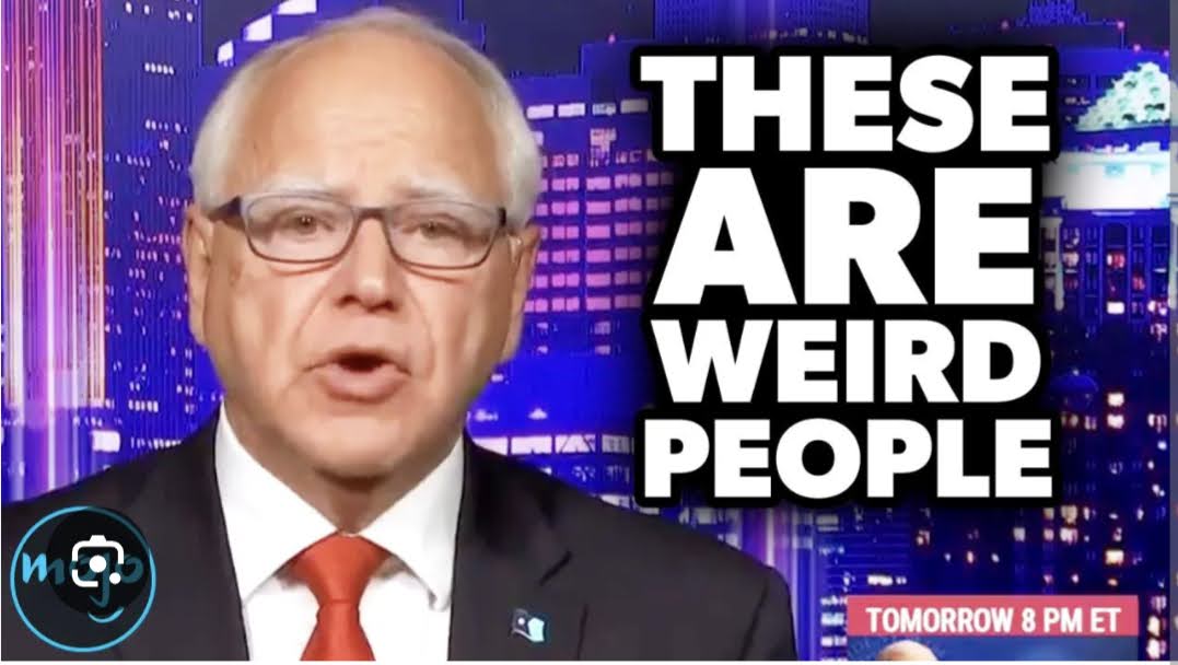 Saint Germain XY🗽 ⚖️ 🕊️ 🌱☘️ अहिंसा ☮️ 🏴‍☠️ tweet media