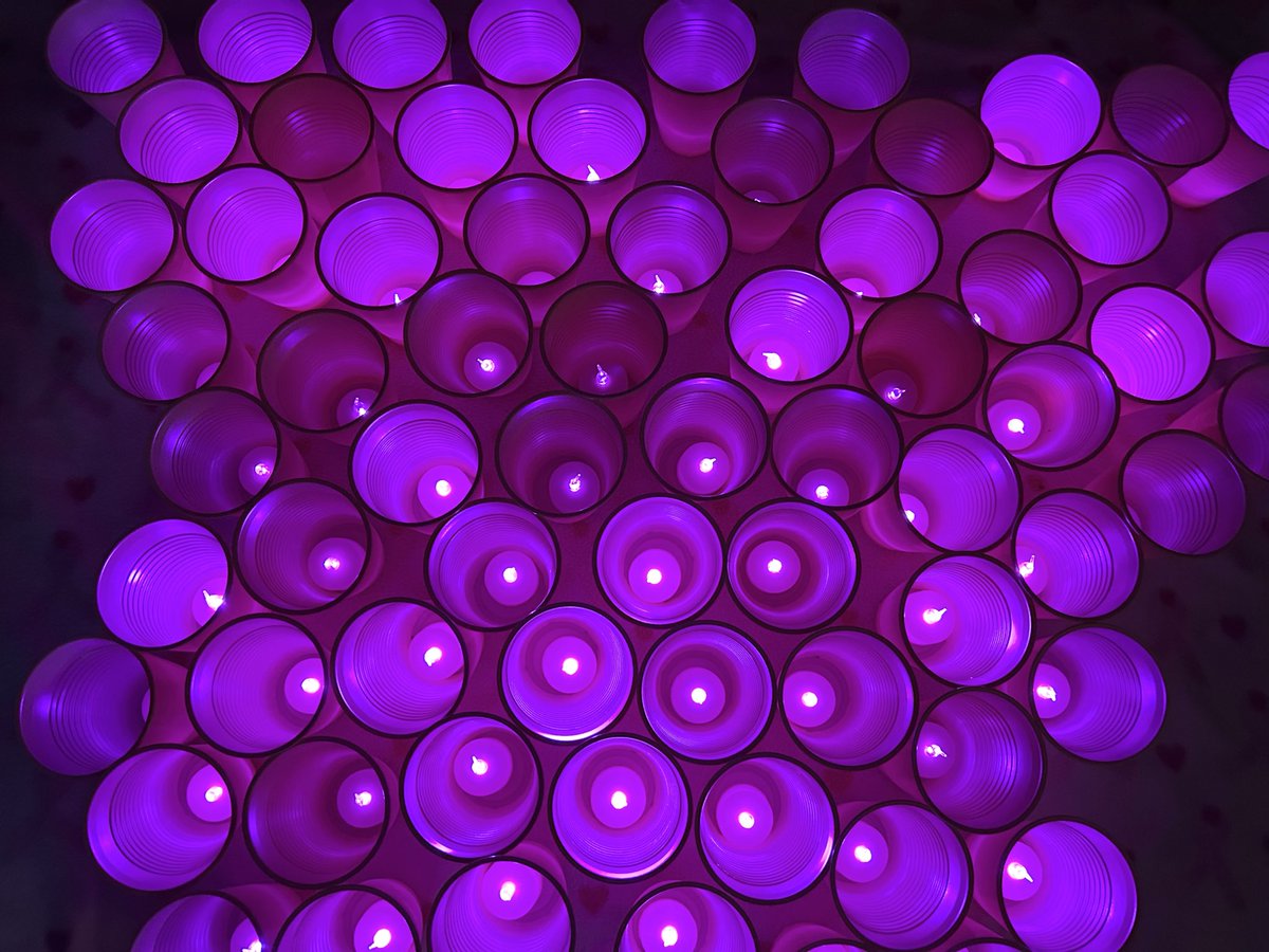 Bobbie Haas tweet media