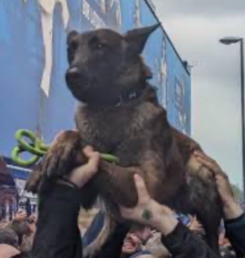 General 🐊 (EFC & Bucs (8-9) season over tweet media