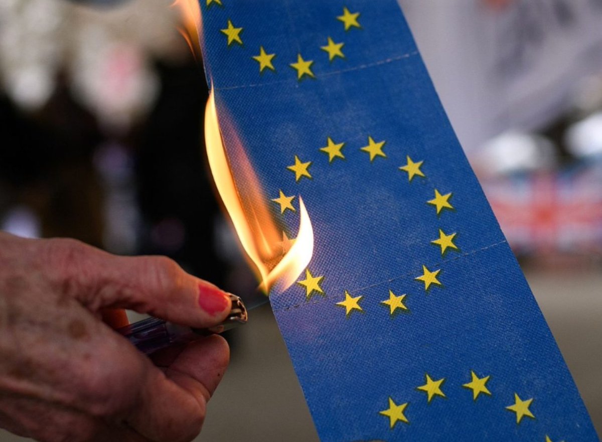 Daily Glimpse Girl tweet media