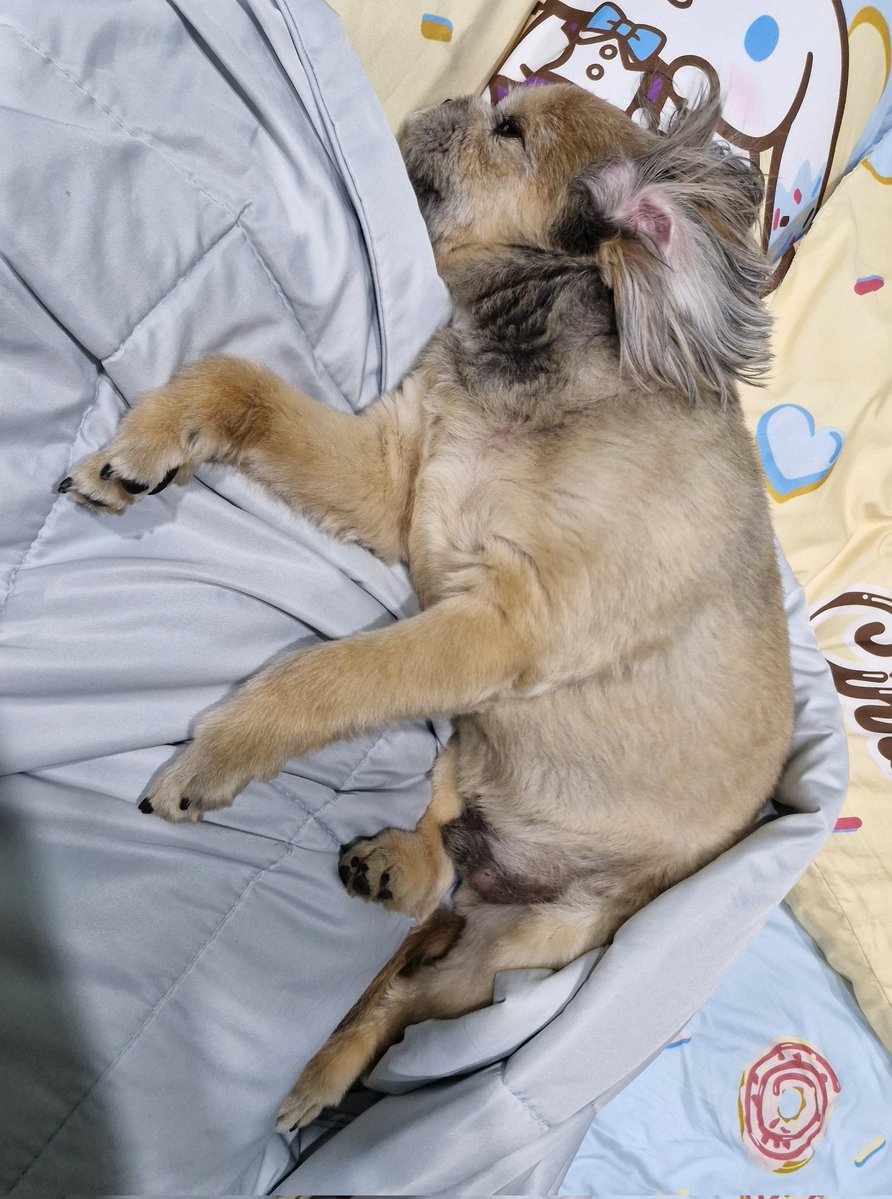 กลมบ๊อก❤702 🦋 some secret tweet media