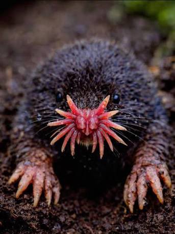 James R Us tweet media