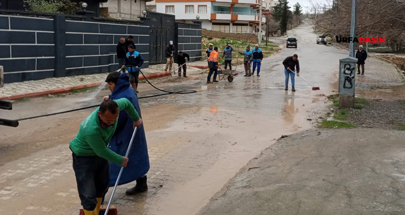 Urfadasın tweet media