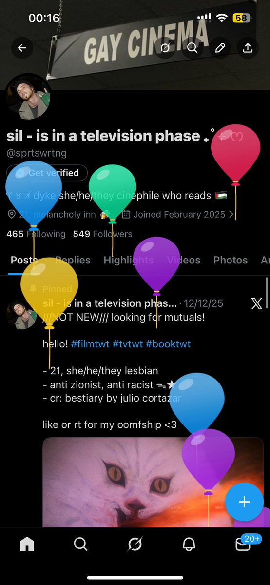 sil - is in a television phase ₊˚⊹ ᰔ tweet media