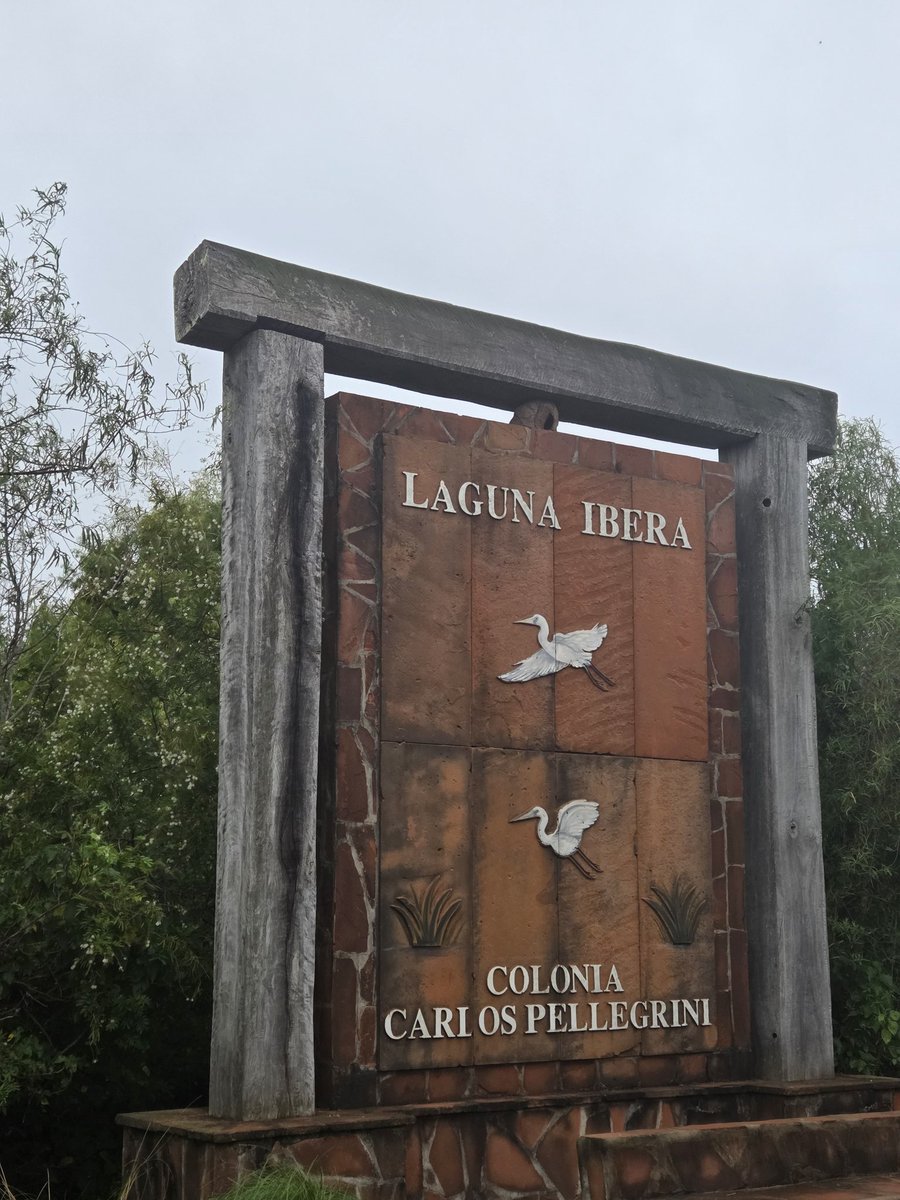 Fernando Marull tweet media