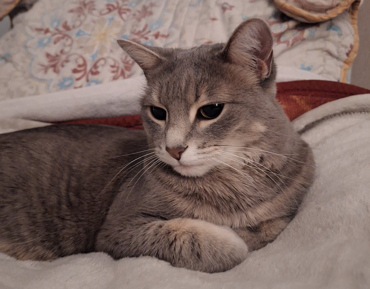 just_be_real tweet media