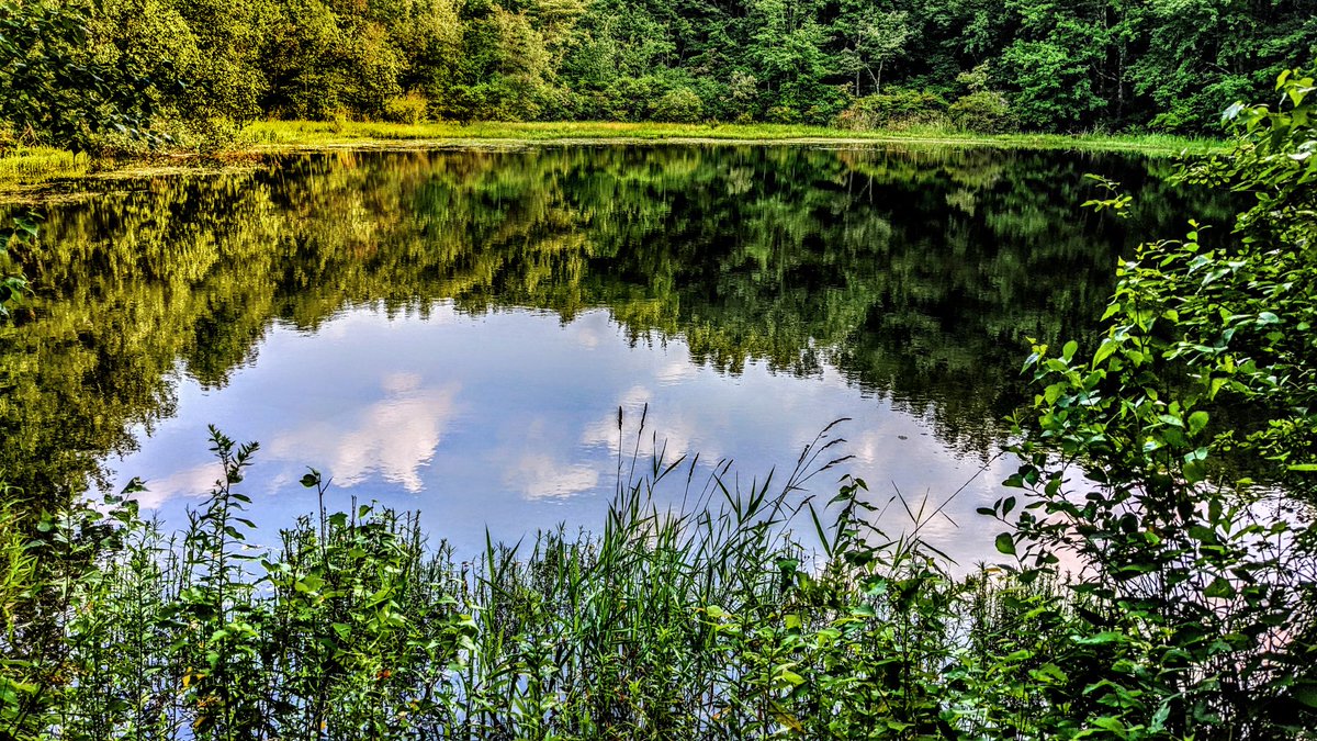 GSteffanos's tweet image. August 17, 1983: Three miles later, I was at Finerty Pond. The next good water on the trail was more than eight miles ahead, so I settled for bad water and pitched my tent for the night.

#backpacking #hiking #outdoors #Massachusetts #nature #forest #mountains #AppalachianTrail