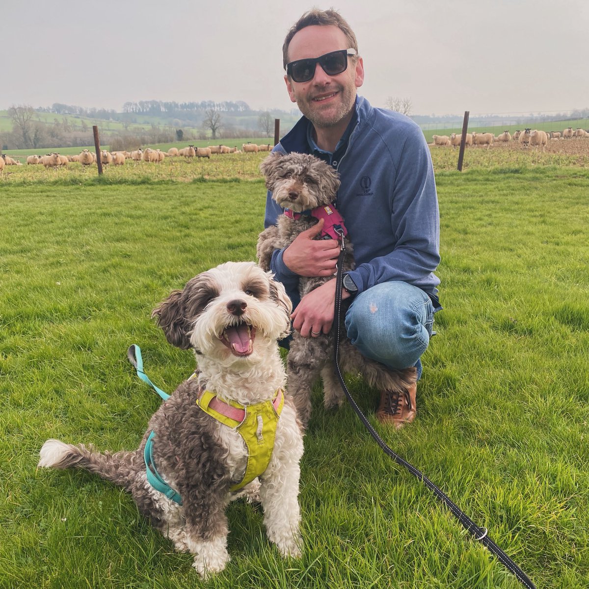 BeMoreBob tweet media