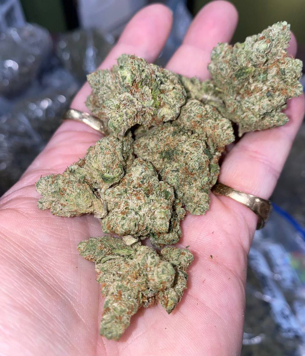 🍃👻 tweet media