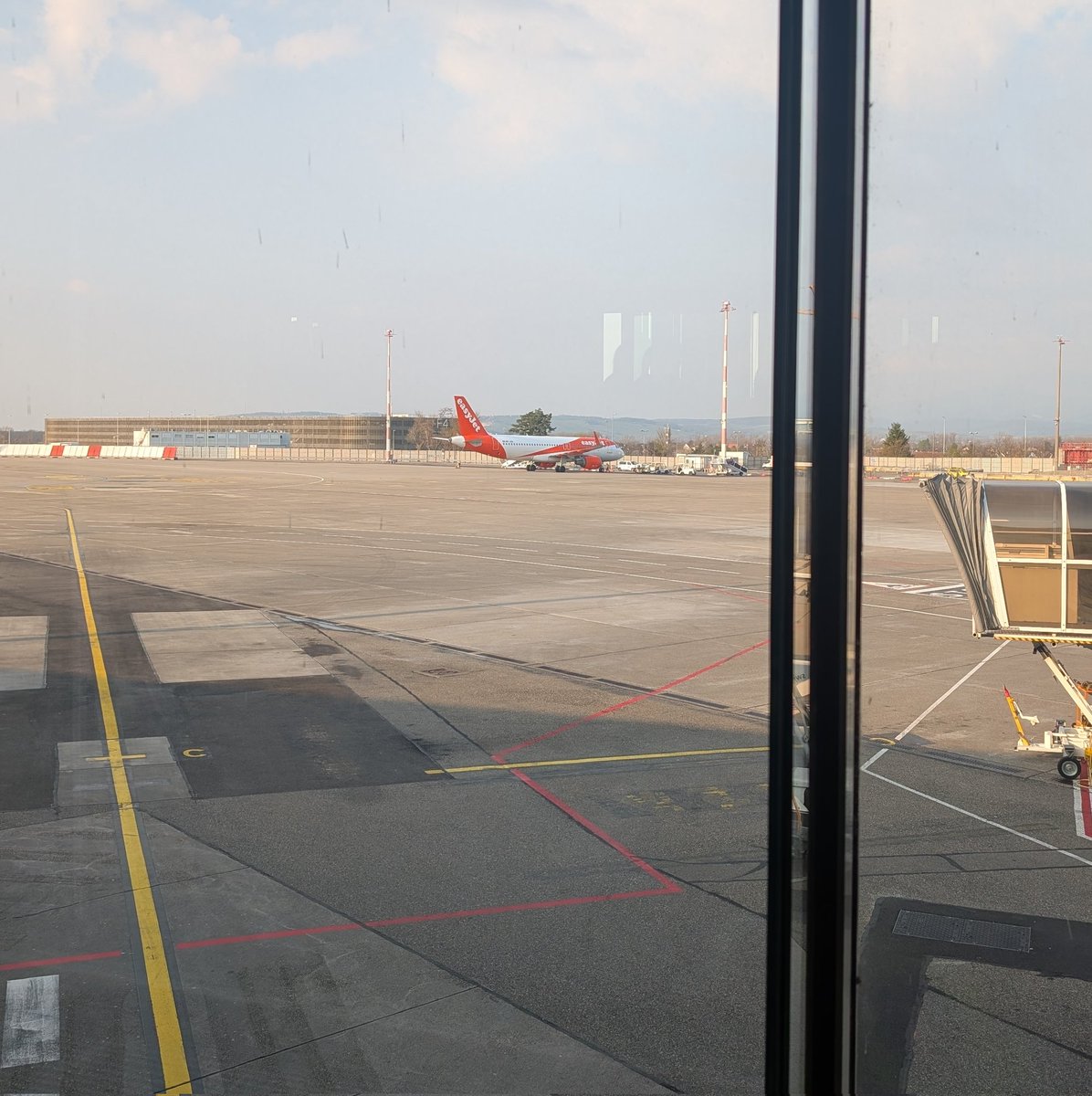 leonlefox tweet media