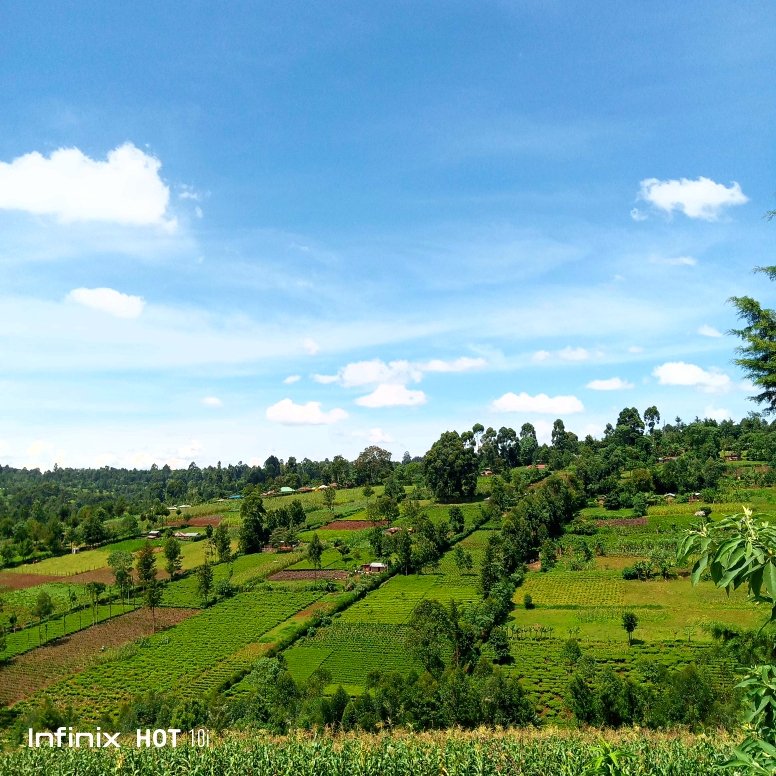 Kochi 75.🪐 tweet media