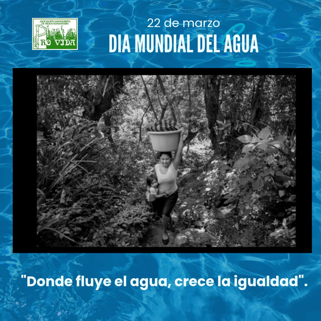 PRO-VIDA tweet media