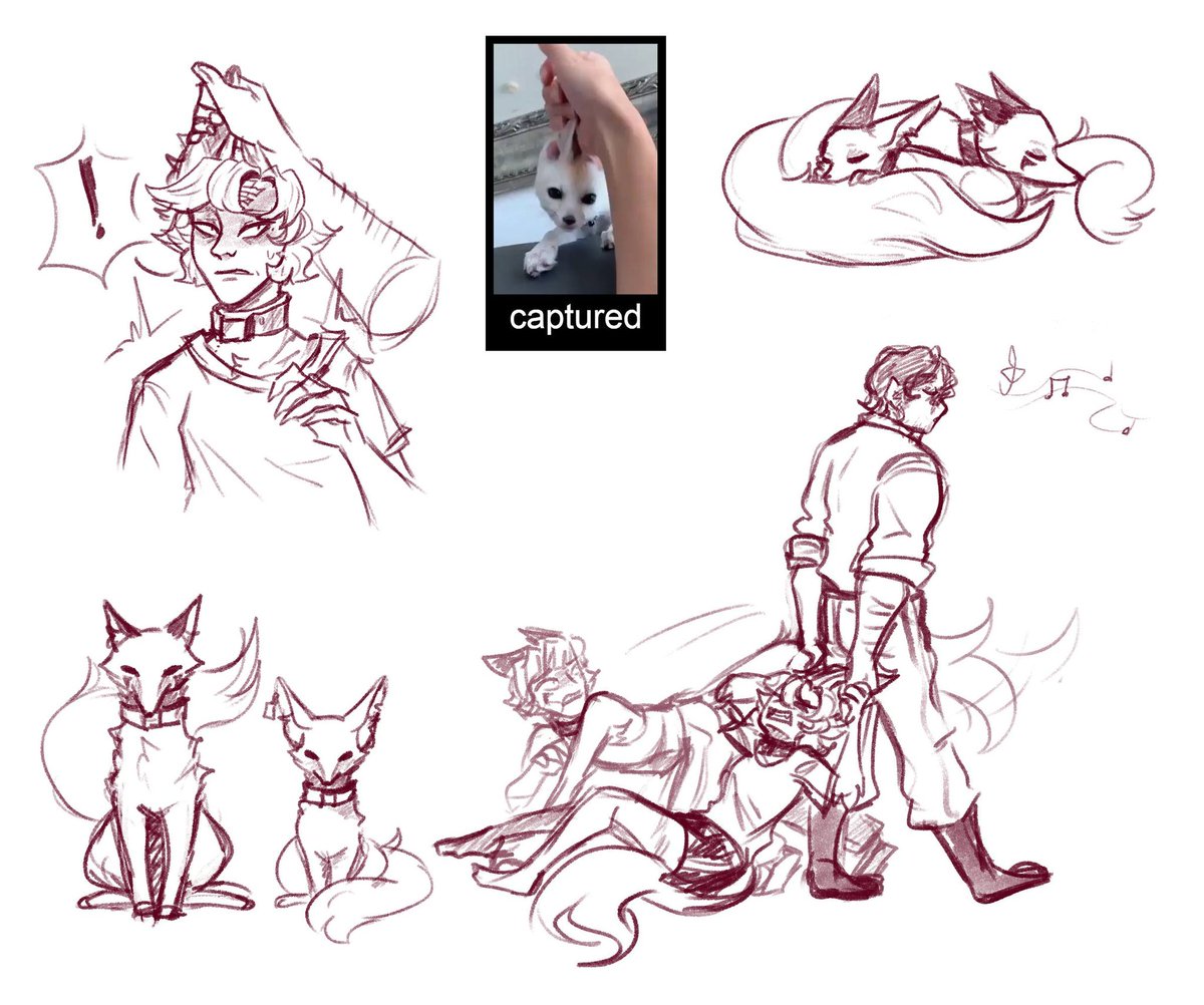 SevenWather tweet media