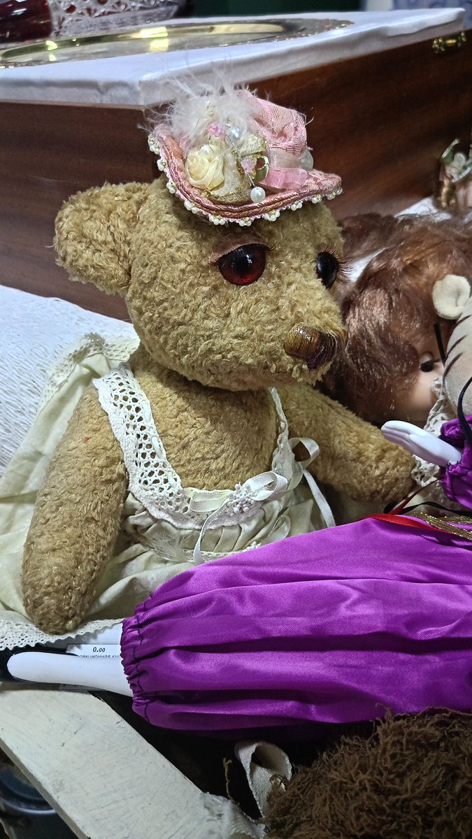 yana🦎🪼 tweet media