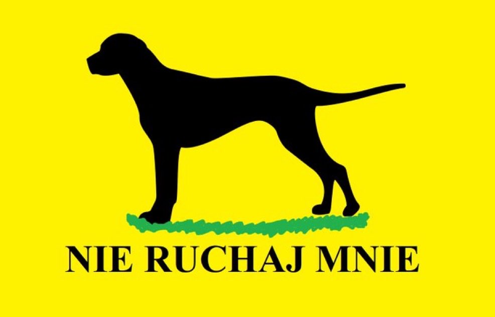 Dominik Wronski tweet media