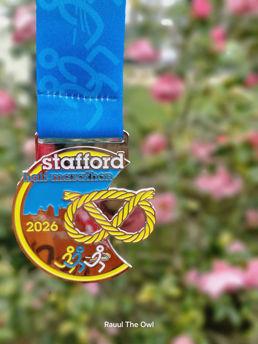 Rauul The Owl tweet media