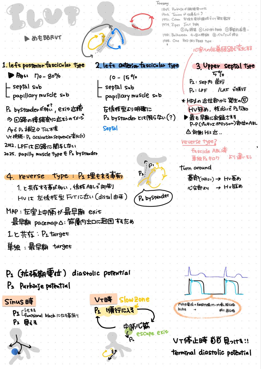 たこまる** tweet media