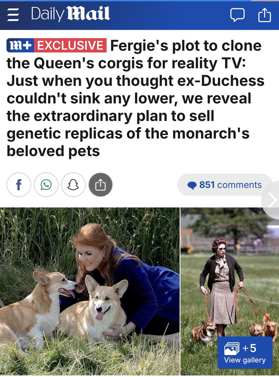 MeghansMole©️ tweet media