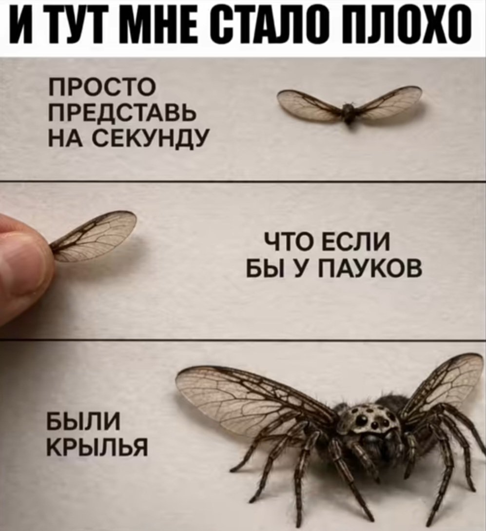 Лиса #ПротивВойны tweet media