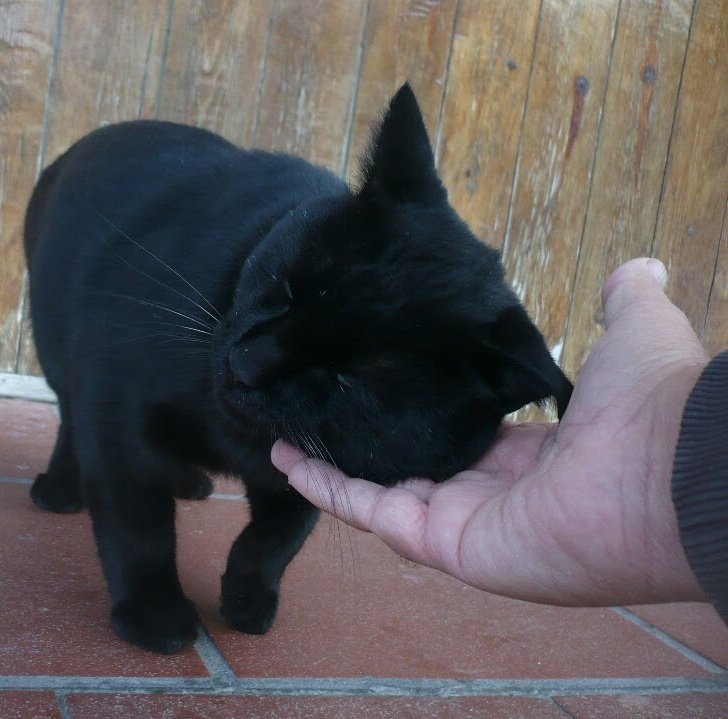 c.e.⚓📸👋 tweet media