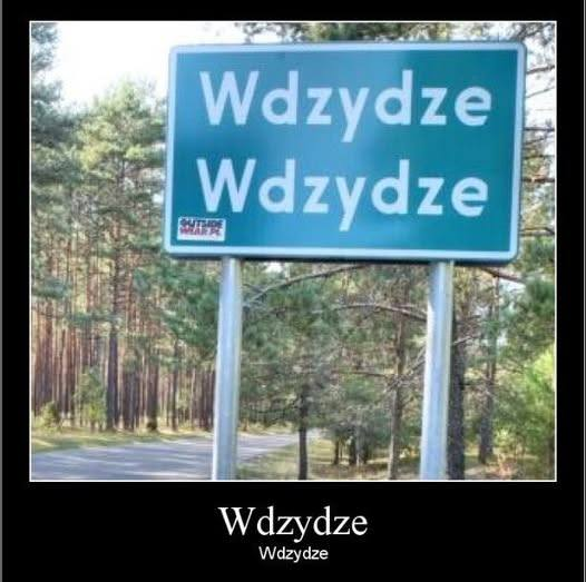 donald.pl tweet media