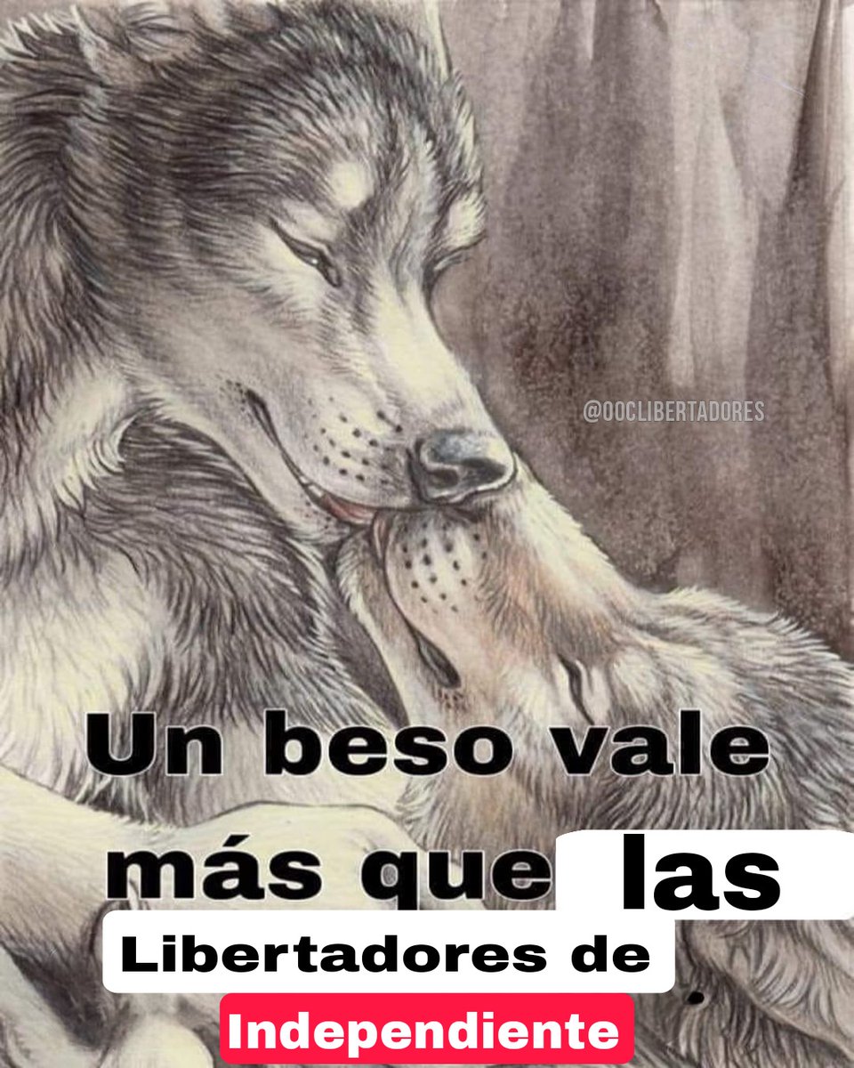 Out of Context Libertadores tweet media