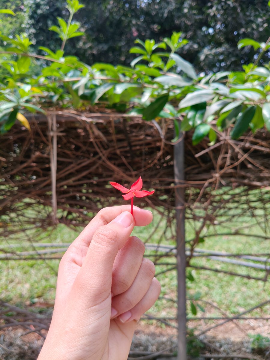 WinterGeek tweet media