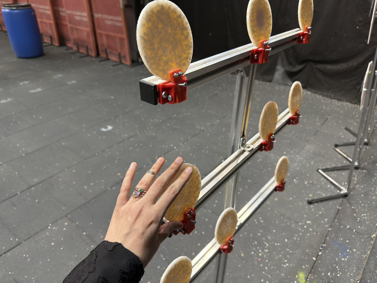 Тыква, которая сияет tweet media