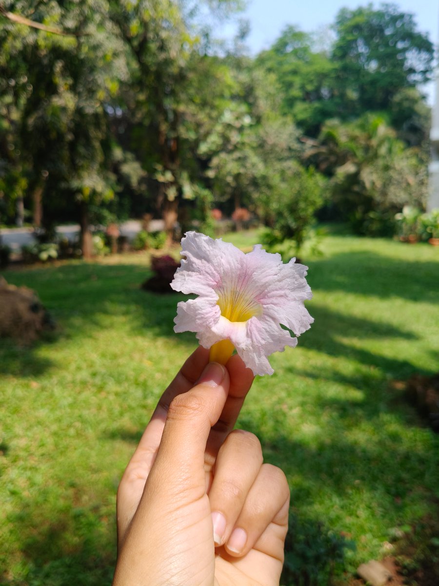 WinterGeek tweet media