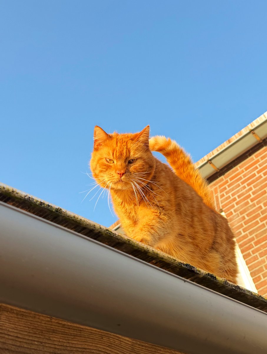 Josan✨ tweet media