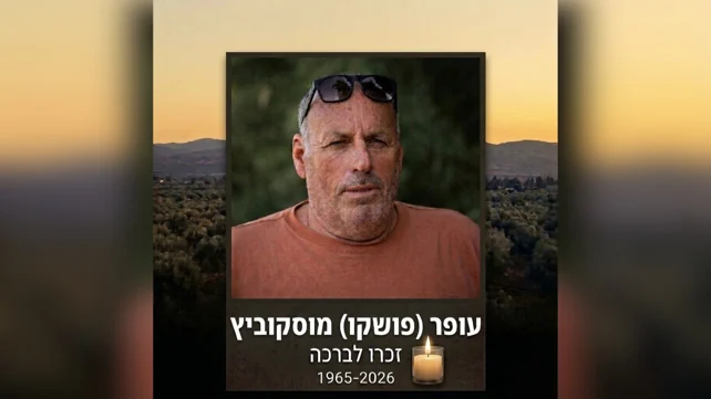 כאן חדשות tweet media