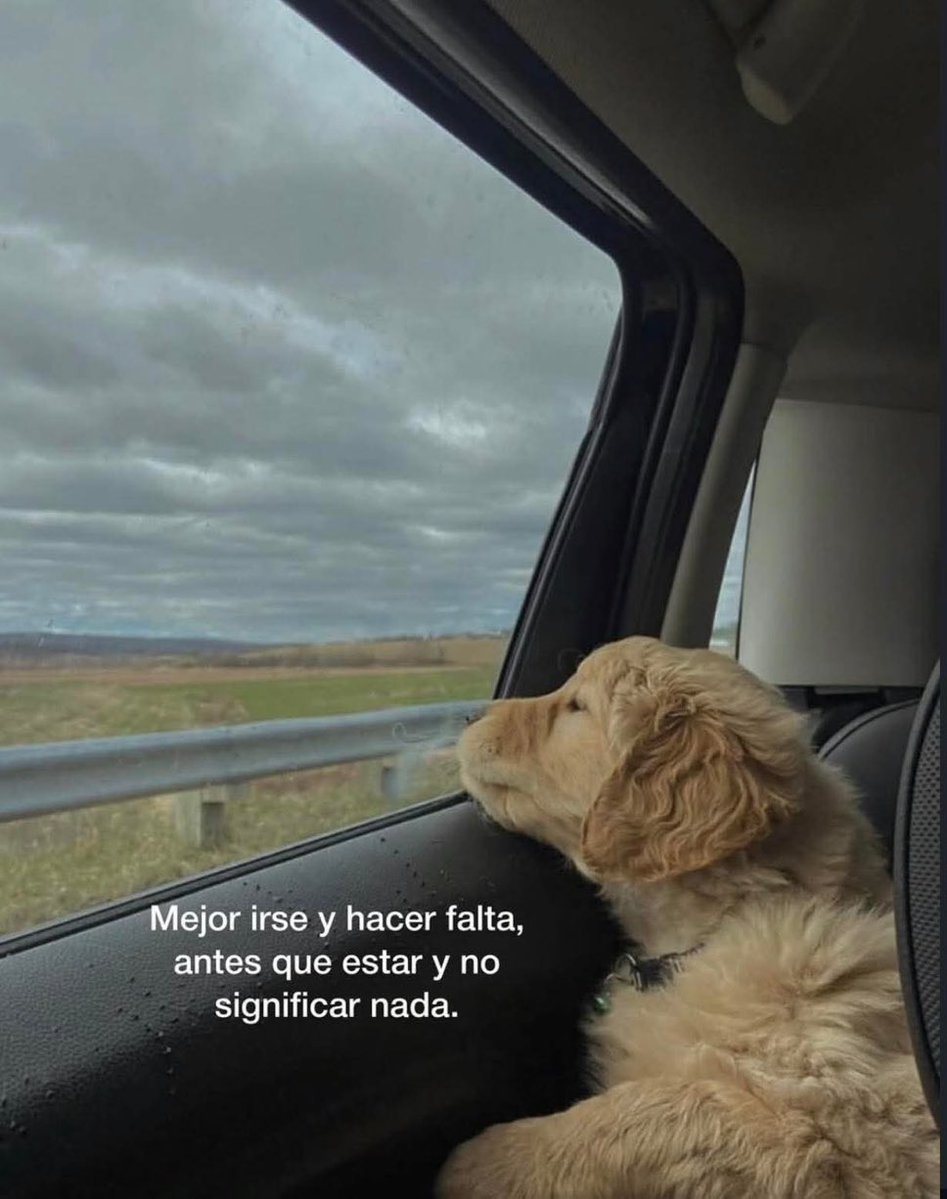 🌙 mini textos (@soyminitextos) on Twitter photo 