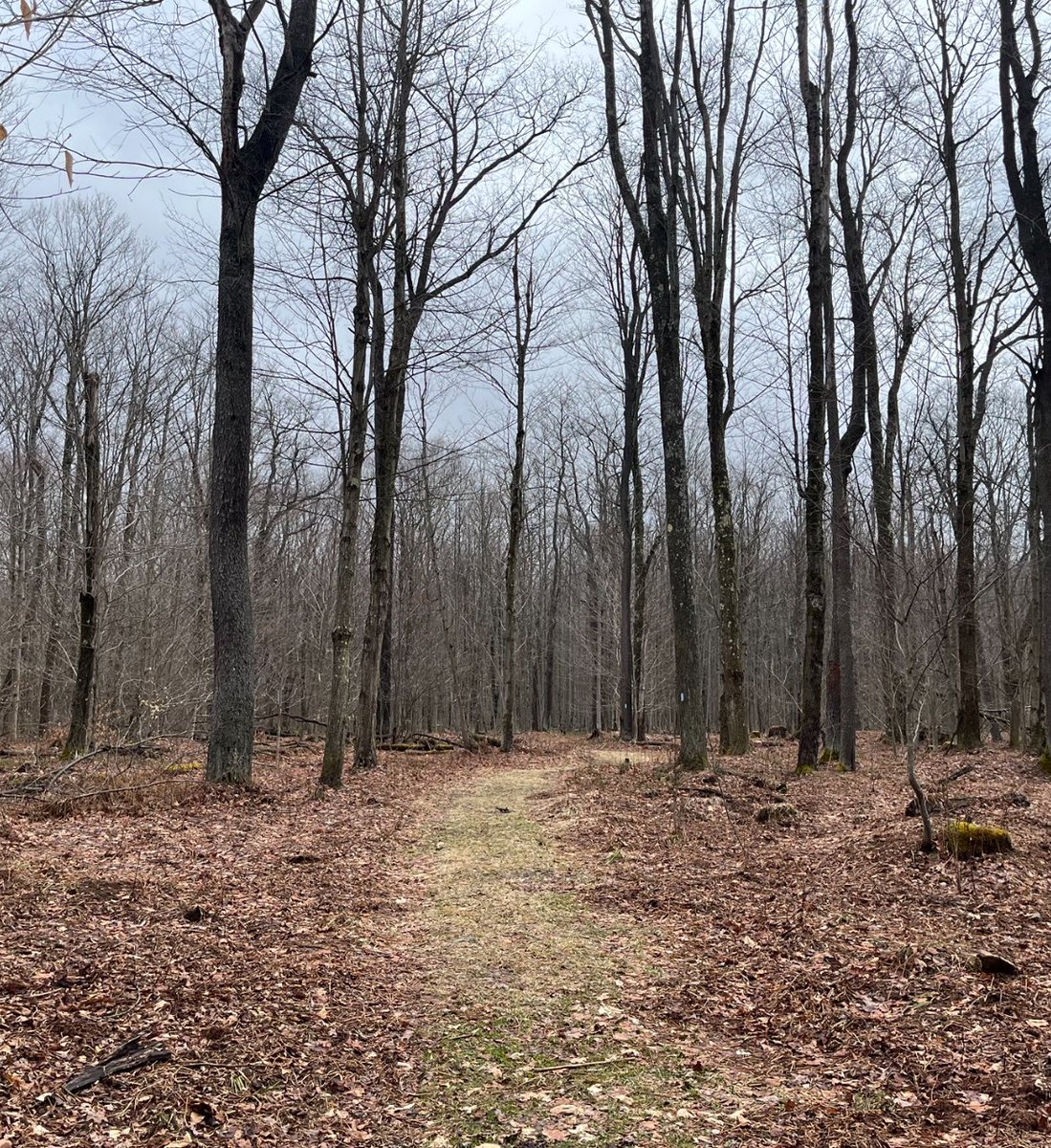 Pain ⭐️ tweet media