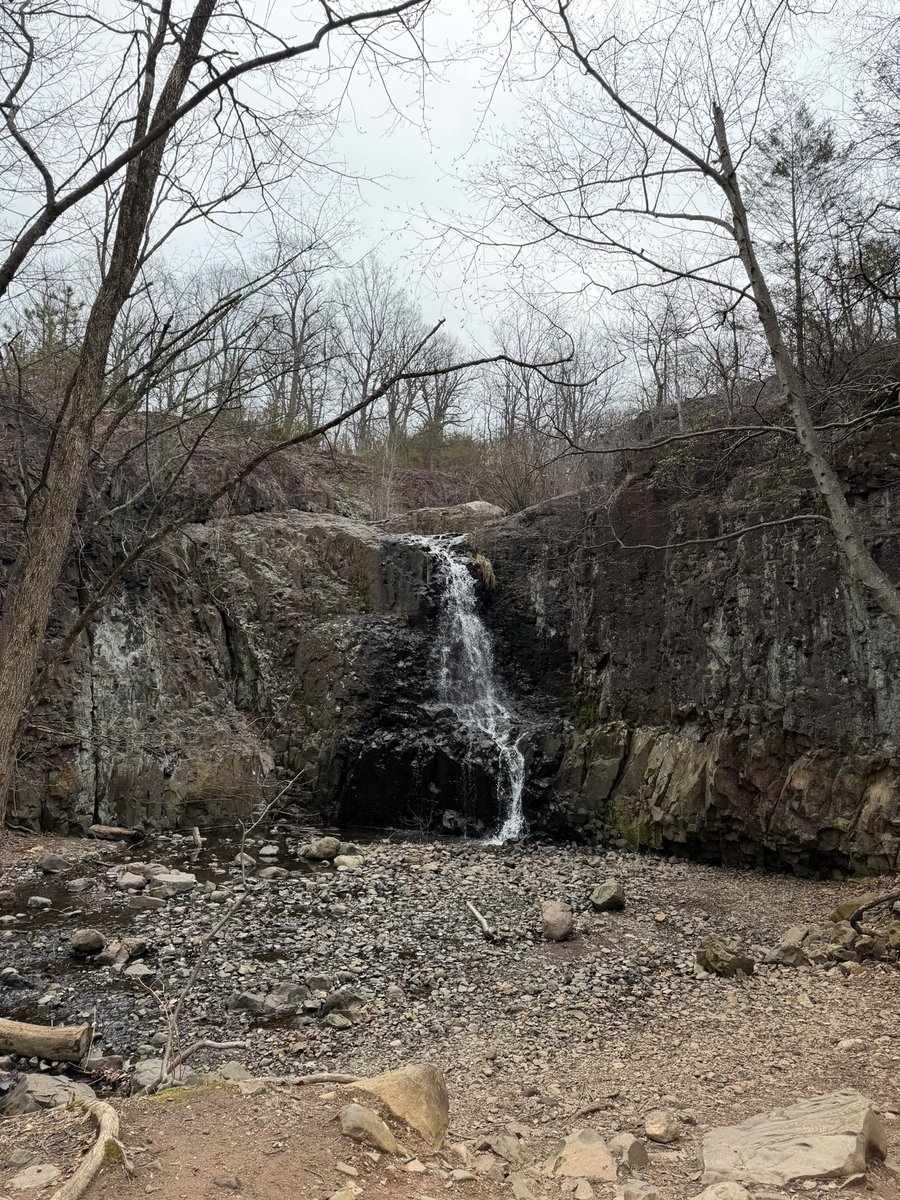 Noah Cracknell tweet media