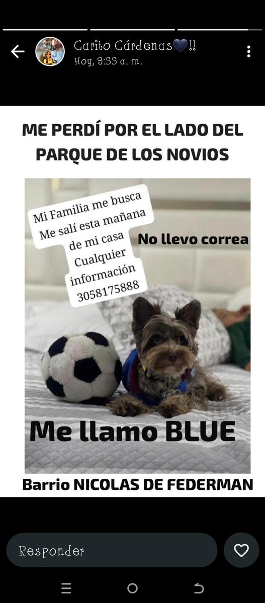 MÓNICA RODRÍGUEZ 🐤 tweet media