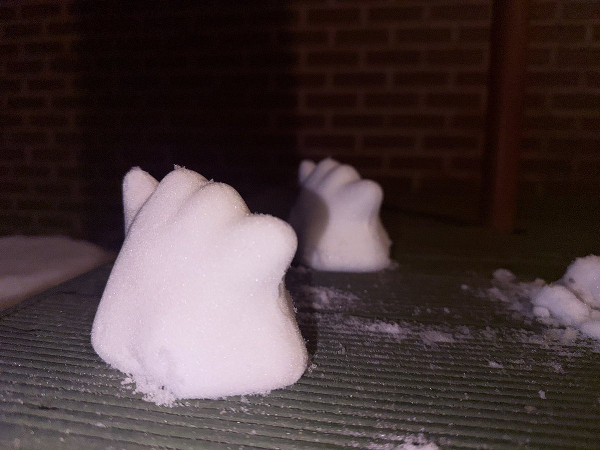 푸딩🍮 tweet media