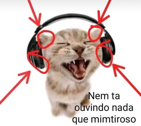 perfil dedicado a gatinhos e peitos tweet media