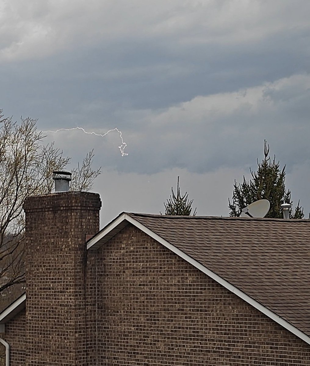 Evan Chiefer tweet media