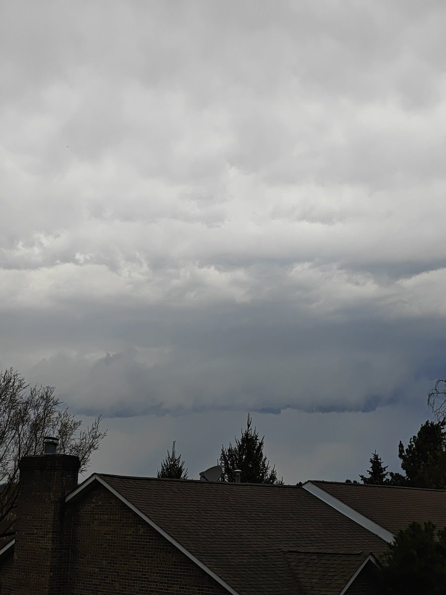 Evan Chiefer tweet media